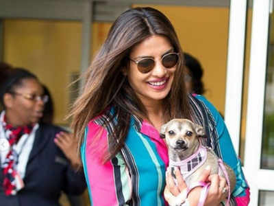 Priyanka Chopra enjoys her day with li'l pet Diana