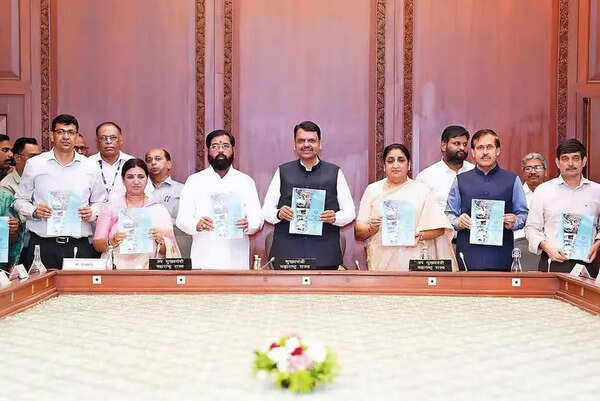 CM directs PMRDA to ready structural plan in six months, set up SPV for twin tunnel