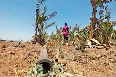 Karnataka under dry spell: Gets hit by worst drought in 46 yrs