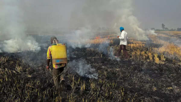 Stubble-burning incidents cross 3,000 mark in Haryana