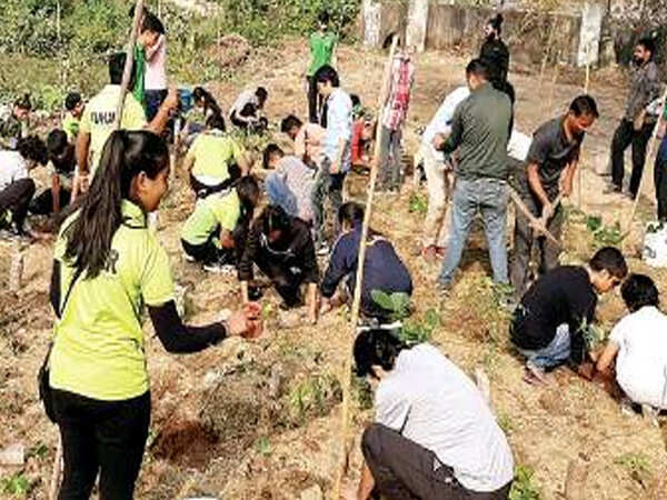 Udaipur city residents grow ‘mini forests’ to beat stress