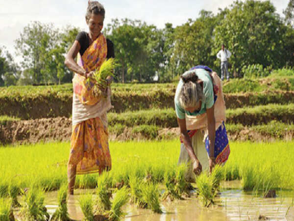 Farmers to join national protests, block all west UP highways on June 16