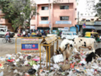 Illegal garbage dump in Murugeshpalya poses health hazard to schoolchildren