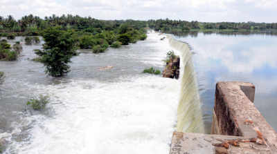 SC cuts amount of water K'taka has to give TN