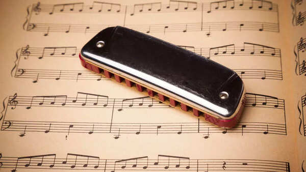 Mouth organs for professionals: Best harmonicas available online