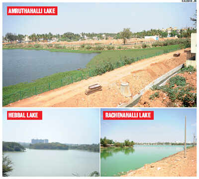 BBMP awaits orders as lakes get encroached