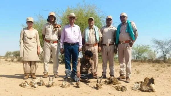 Rajasthan forest dept arrests alleged mastermind behind mass Chinkara poaching in Jaisalmer