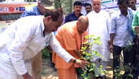 UP CM Yogi Adityanath plants sapling at his residence to celebrate World Environment Day 