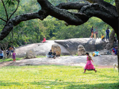 In the offing: Lotus pond revival, yoga centre at Cubbon Park