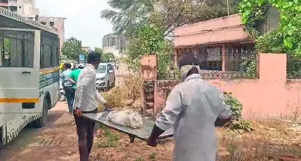 Mishri died due to septicaemia: PM report