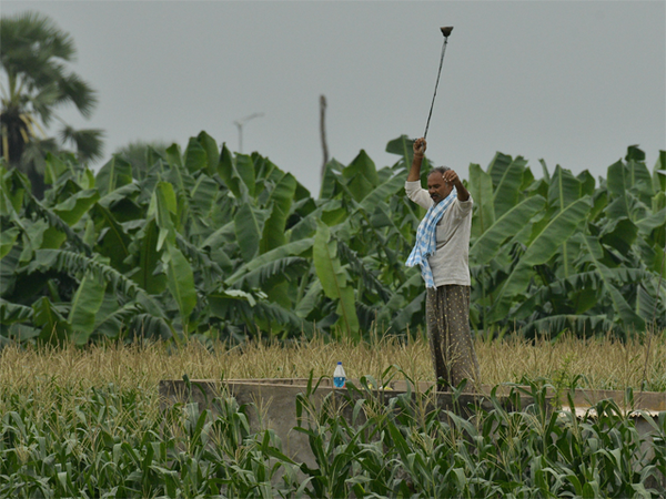 Crop insurance scheme set for revamp