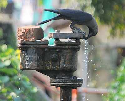 HC asks govt for urgent steps to tackle water scarcity