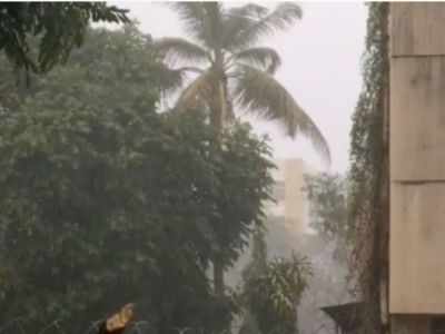 Pune: Rain, lightning and gusty winds lash city
