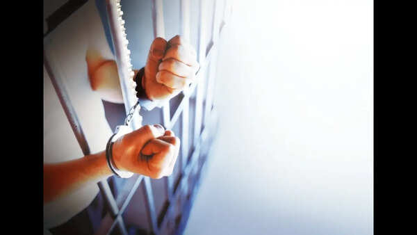 Burglar held before completing house built with stolen money