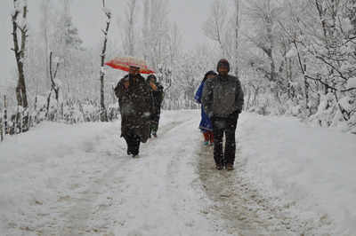 Snowfall closes Srinagar-Jammu highway