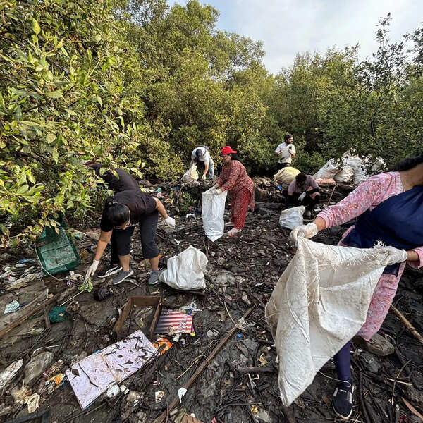‘Mangrove Soldiers’ to mark 300 weeks of coastal cleanup in Navi Mumbai on Sunday