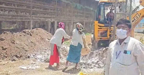 Poultry hub in Nandurbar faces risk for third time in just 20 years