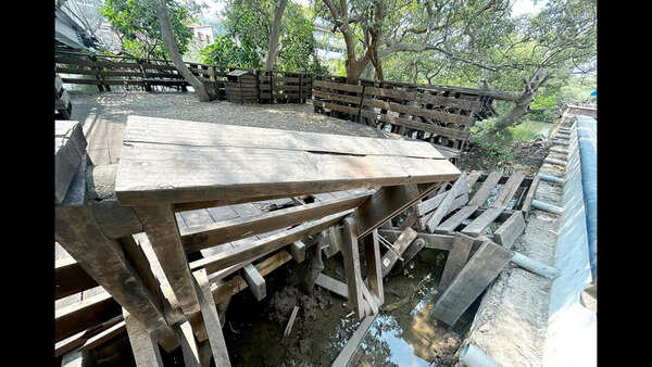 Architect who designed mangrove boardwalk offers to repair it, run it for the city