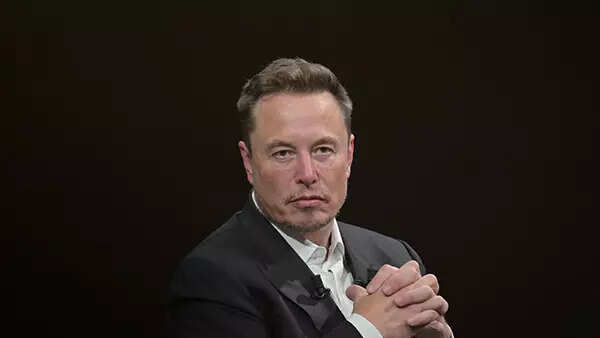 'At some point Musk will bite more than he can chew'