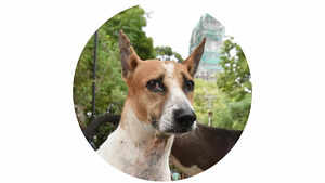 Don’t Go By Bad Logic, Cooked-Up Data