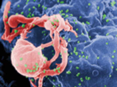 Protein-based sensor detects viral infection, kills cancer cells