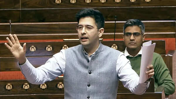 Delhi high court to Raghav Chadha: A thin line between political criticism & defamation