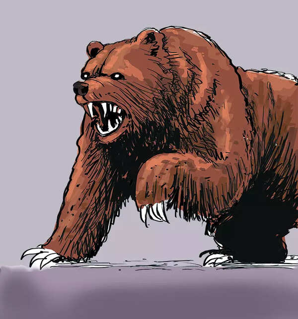 Chhattisgarh: Chital killed by stray dogs; minor girl among 2 tendu collectors hurt in bear attack