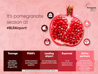 BIAL processes 1.8 lakh kg pomegranates during covid