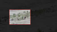 Watch: 3 youth rescued from Sutlej River in HP’s Kullu 