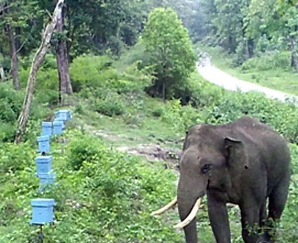 PCCF visits Kodagu, instructs officials to use tech to prevent human-elephant conflict