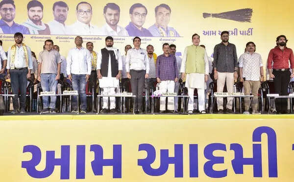 In tribal belt, Chaitar carries AAP on his shoulders