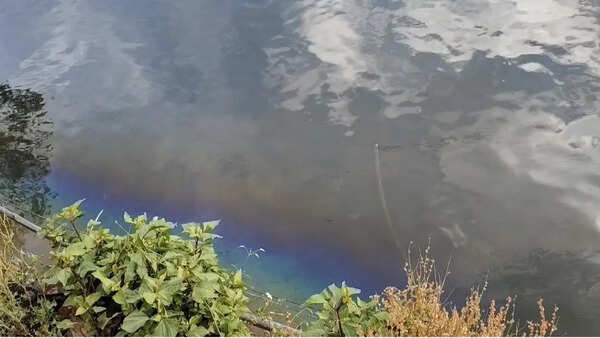 ‘Oil leak’ in Naini Lake sparks concern; residents worried over impact on fragile ecosystem of water body