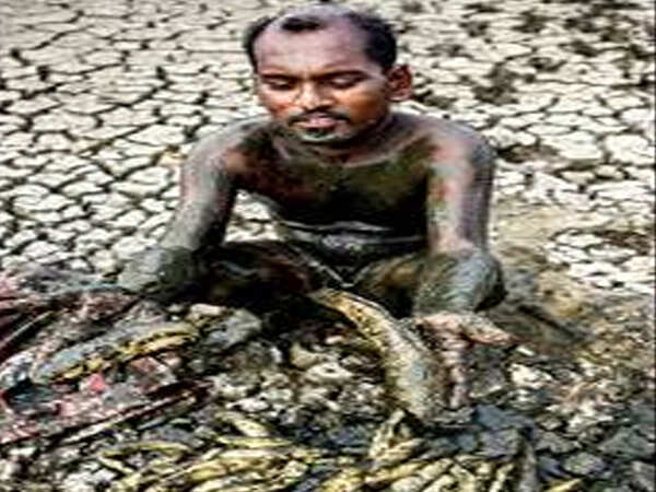 Tonnes of dead fish in lake raise stink off Chennai bypass