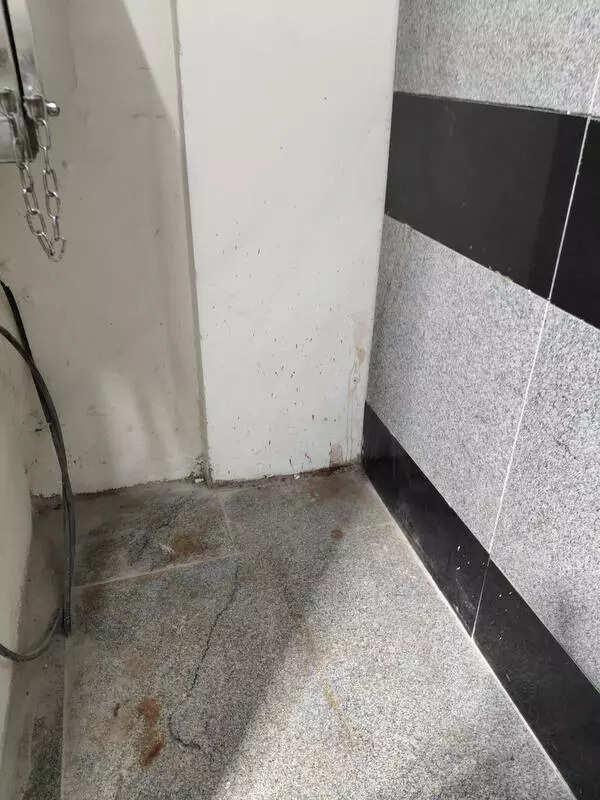 Gutkha stains deface Meerut RRTS station days after inauguration