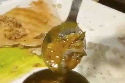 Dead lizard in sambar at Delhi restaurant, FIR lodged