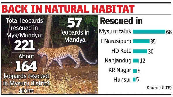 221 leopards rescued in 3 years in Mys