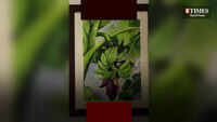 Aquarelle painting exhibition 