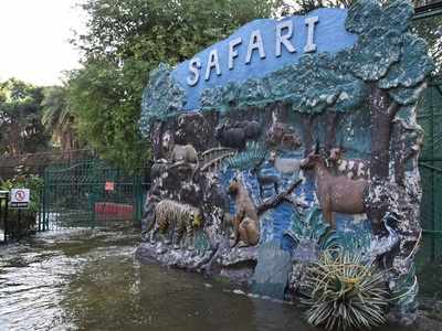 Torrential rains force Safari Park complex at Hyderabad zoo to shut