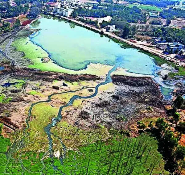 NGO booked for ‘damaging work’ that depleted groundwater level