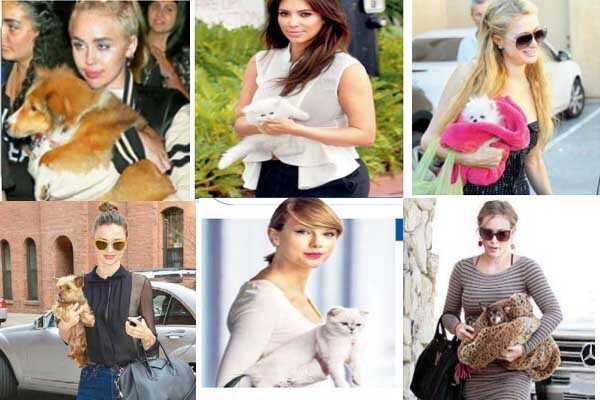 Celebs who treat pets as arm candyelebs