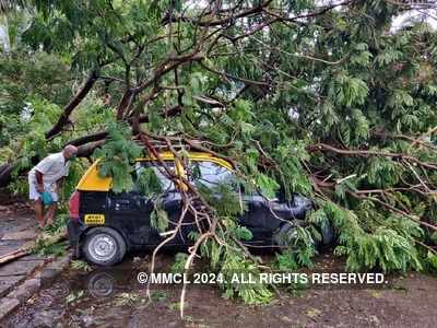 1 killed in Raigad district as Cyclone Nisarga whirls past Mumbai