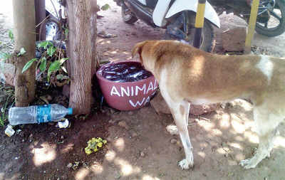 Mangalurueans get into the saviour act