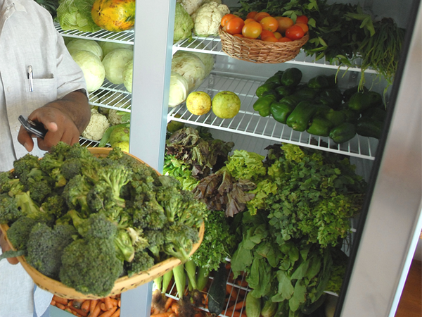 West Bengal government comes up with their own organic restaurant