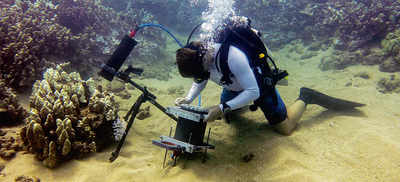 Tech to watch underwater world at microscopic scale