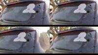 Farmer leader Rakesh Tikait's convoy allegedly attacked in Rajasthan 