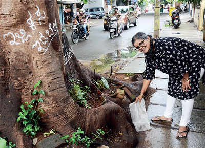 Thanks to 67-yr-old, this tree is home to a garden