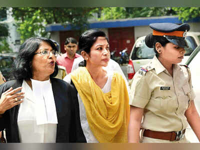 'Losing two million brain cells each minute': Indrani Mukerjea’s bizarre bail application