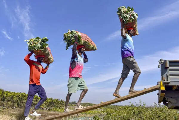 50L calls in 3 yrs: Varuna Mitra farmer helpline braces as drought fears grow