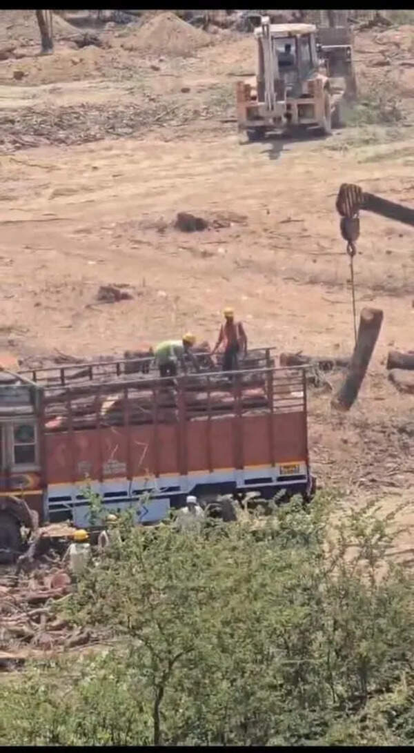 Environmentalists urge BMC to stop construction firm from cutting trees at Vikhroli’s Godrej Garden in Mumbai