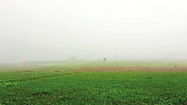 Fog catches Ganjam, Gajapati off guard